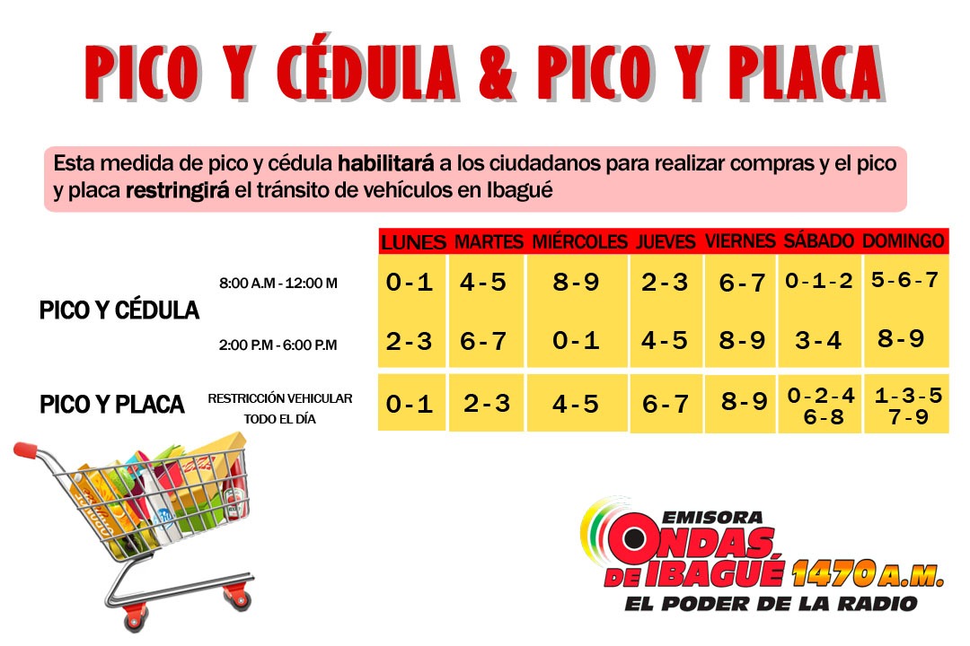 pico y cedula y pico y placa