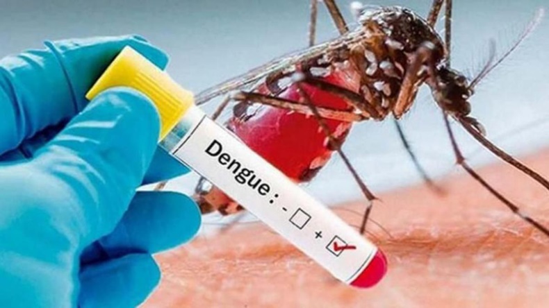 Dengue pico