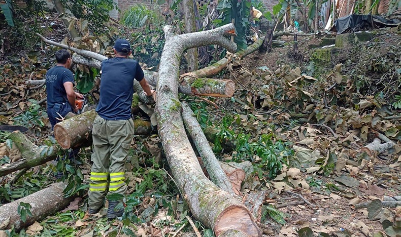 Emergencia en iba