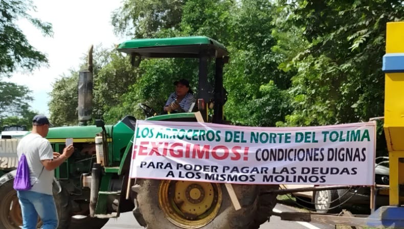 El paro arrocero