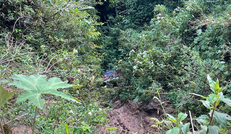 dentro cayo el campero