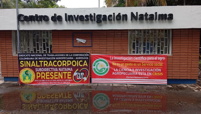 denuncia pagos