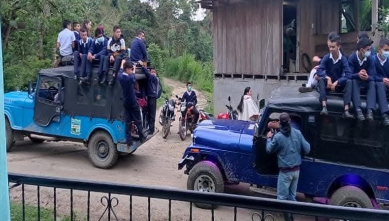 carro transporte