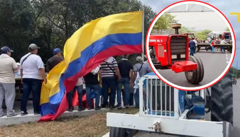 nuevo parao arrocero