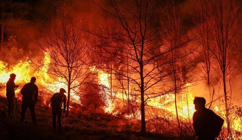 incendio forestal
