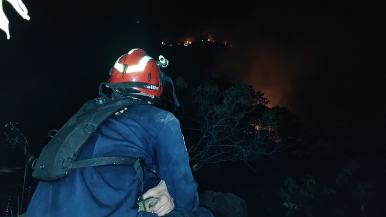Emergencia