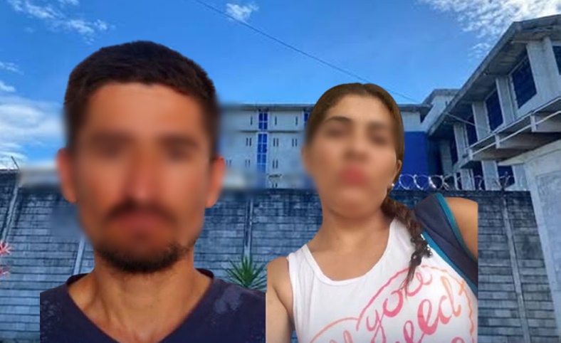 Investigación