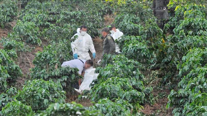 Hombre cafetal muerto