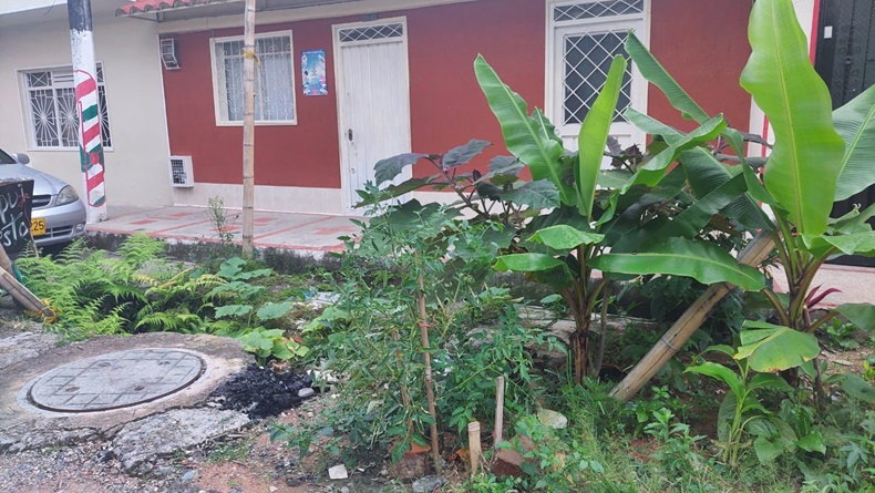 barrio restrepo papaya