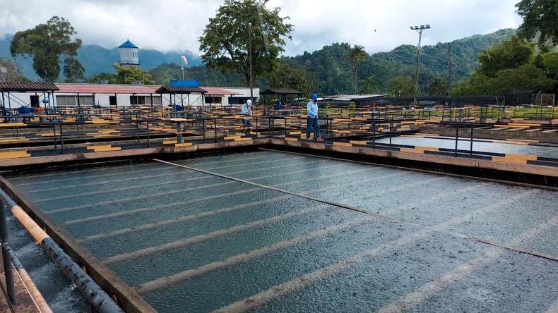Bocatomas funcionan a pesar de las lluvias