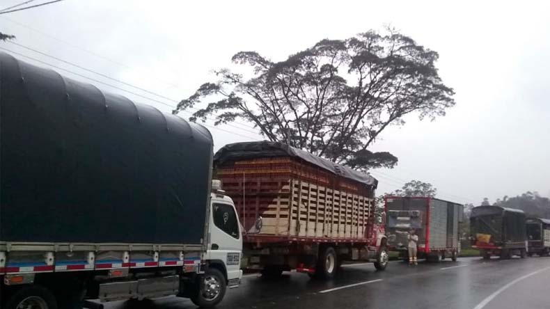Paro transportadores 3 6 22