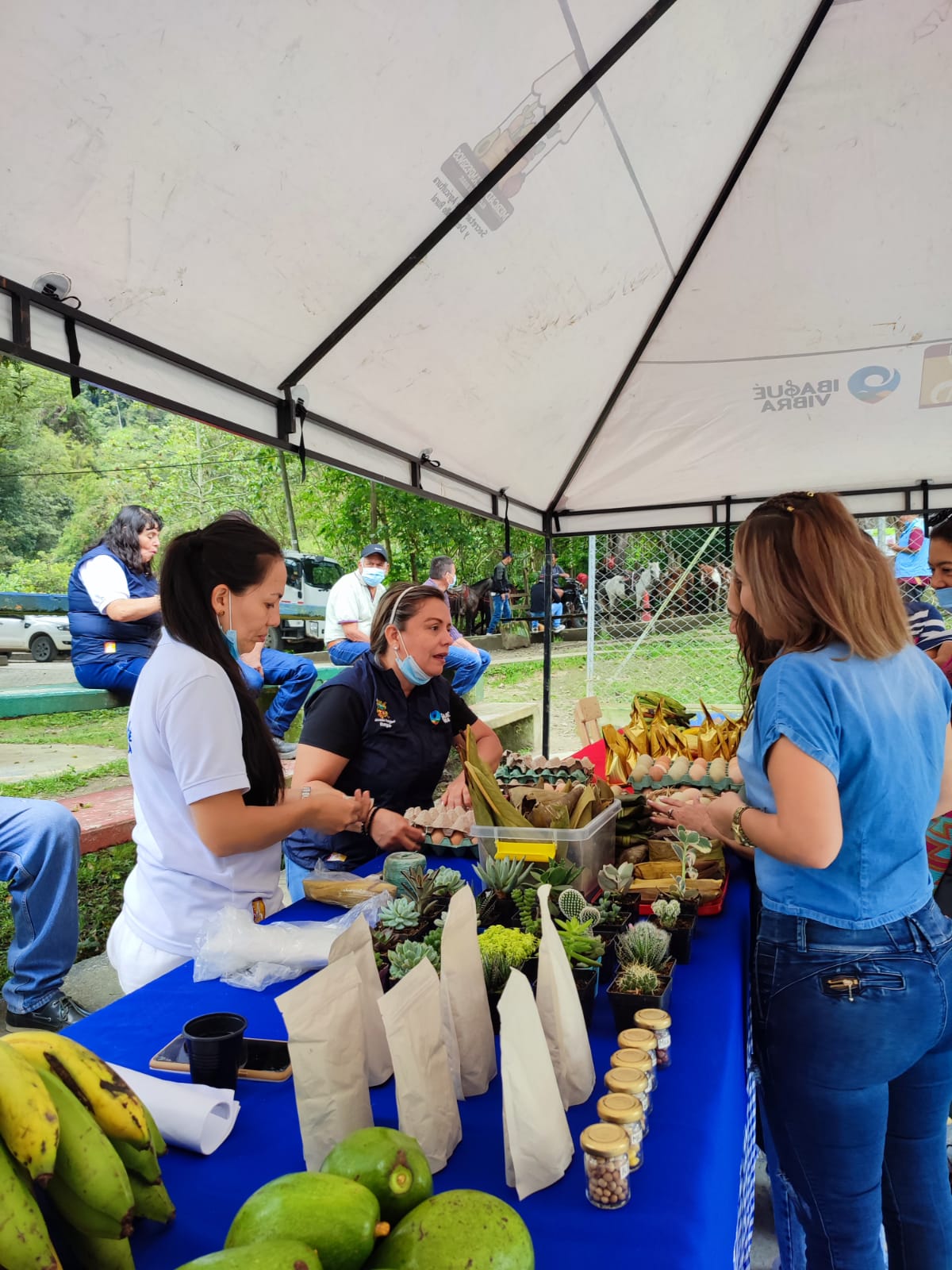 IMAGEN 2 MERCADOS CAMPESINOS