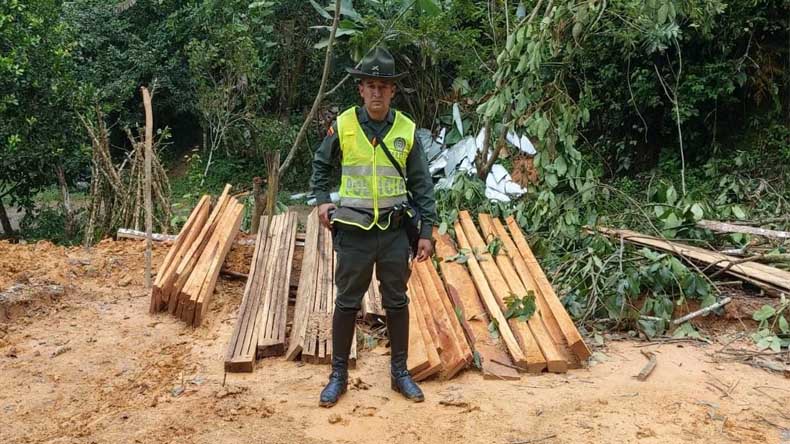 Mas madera incutada