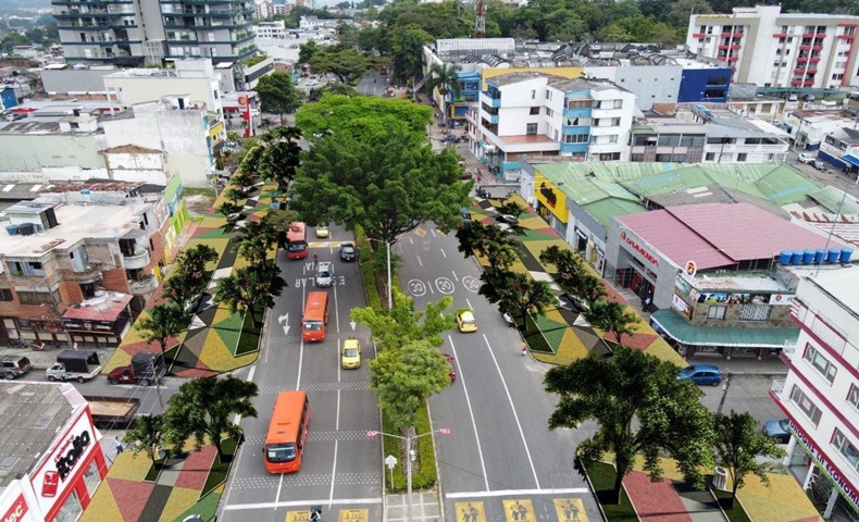 arbolado en ibagué