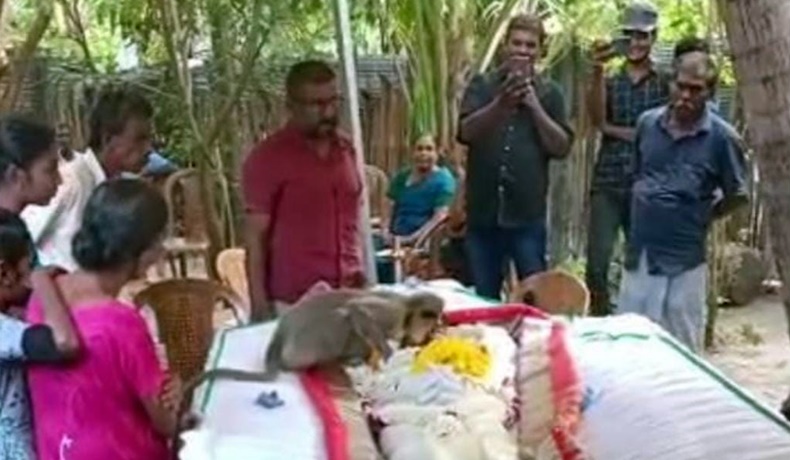 monito en uneral