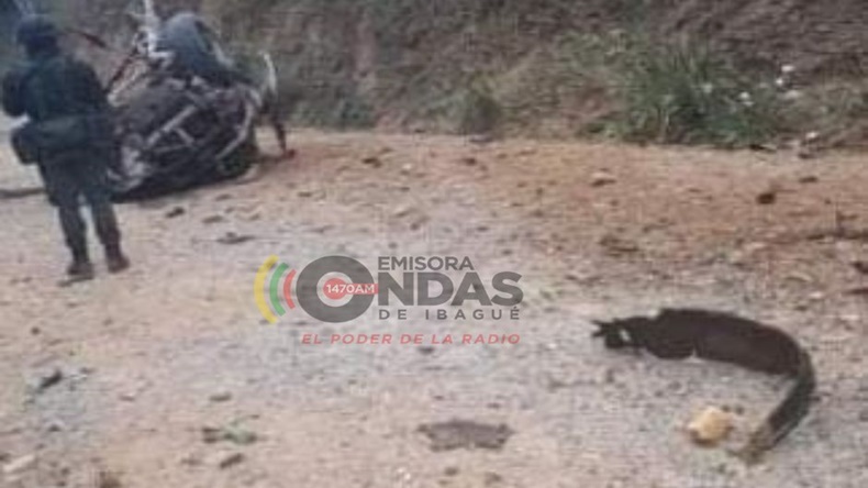 Atentado Policías II