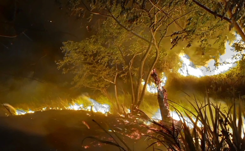 incendio fores sn l