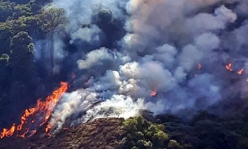 incendios fores ibagué