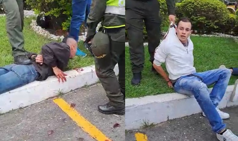 Los de la paloterapia