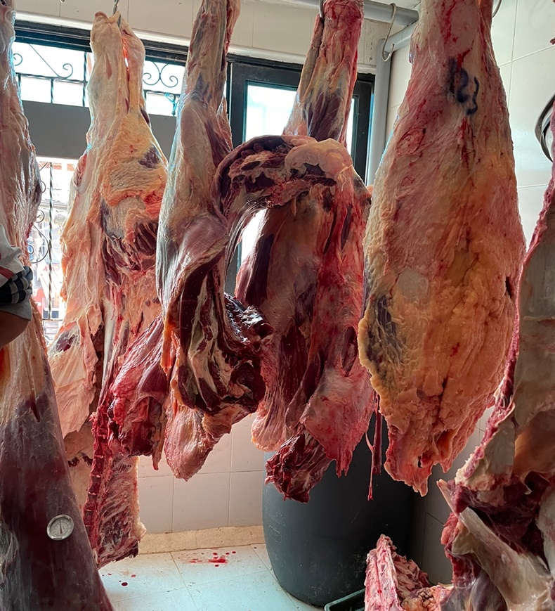 carne fea
