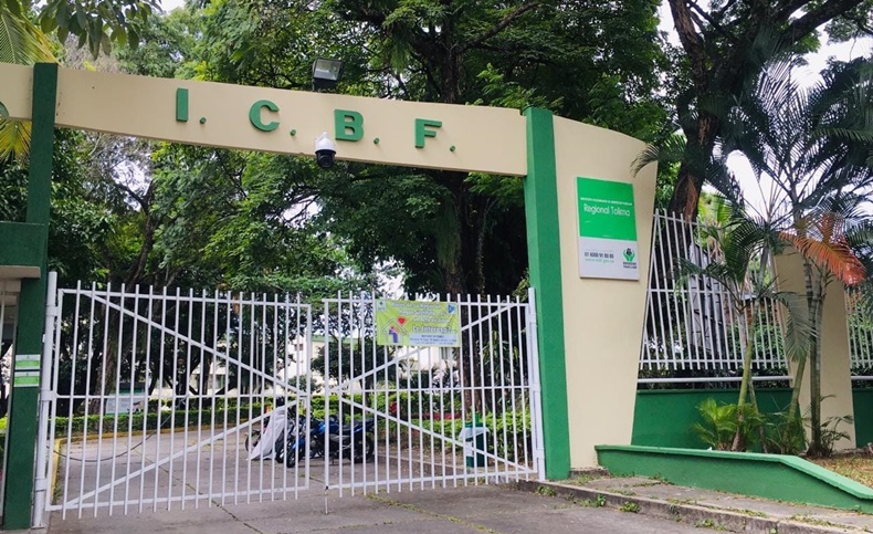 ICBF