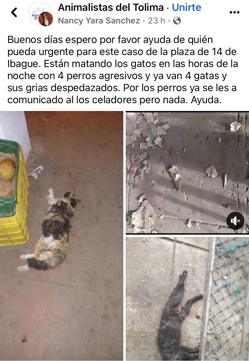 Denuncia