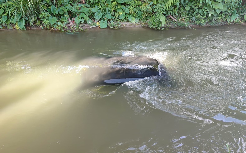canla de agua