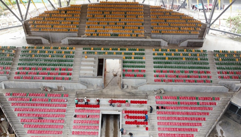 coliseo dentro