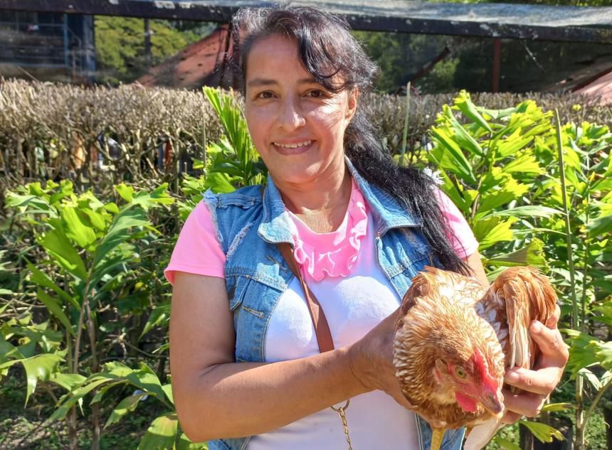 gallinita ponedora