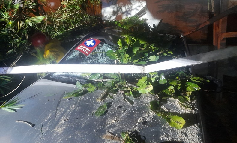 adentro aplasta 1