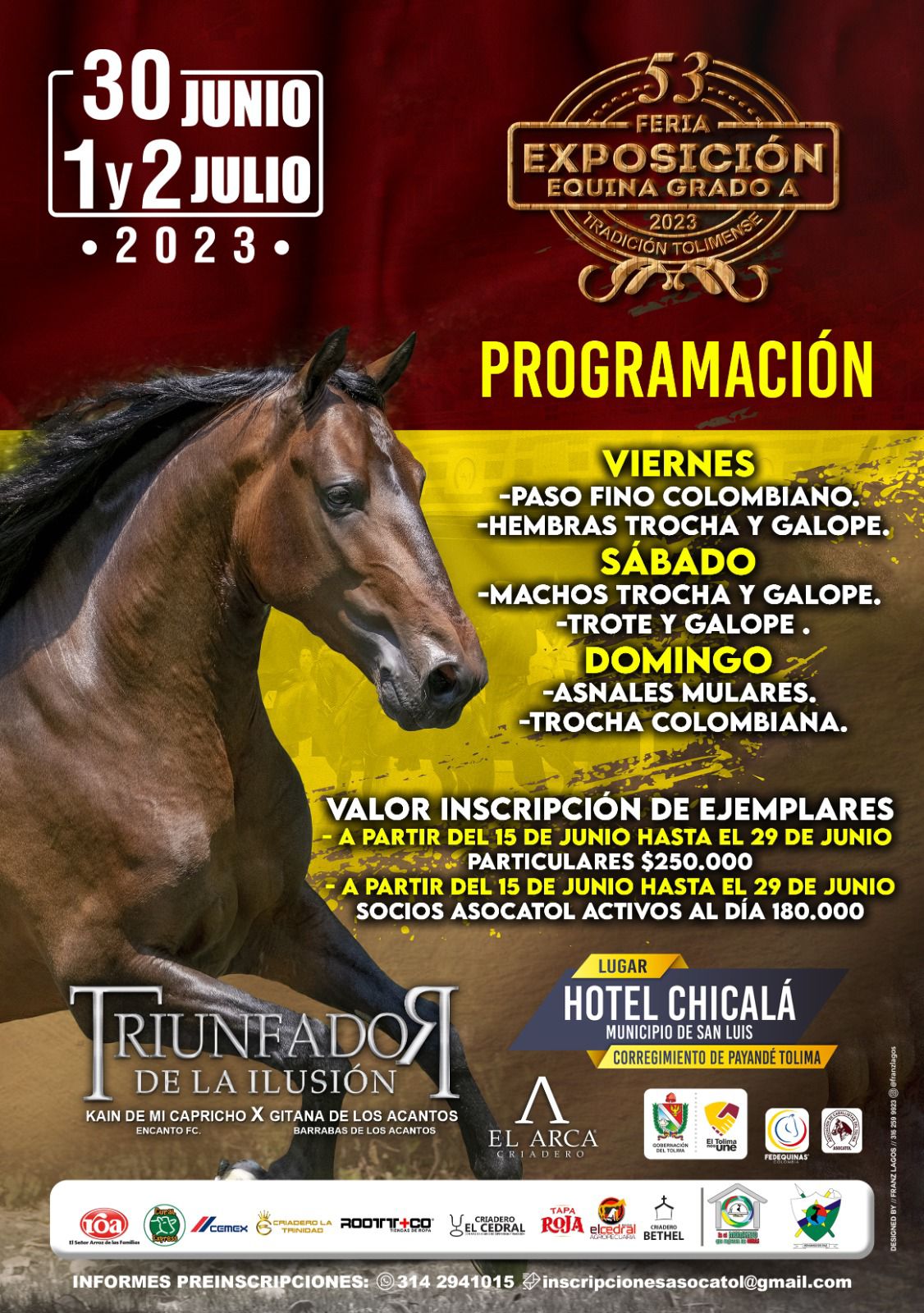 programación junios