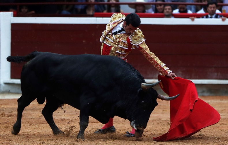 Toros corrida