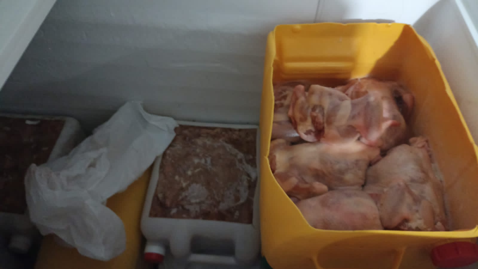 pollo mal estado