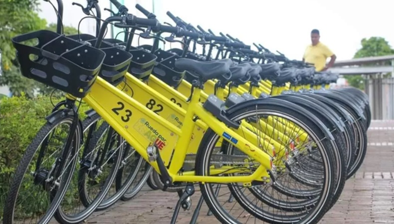 Bicis