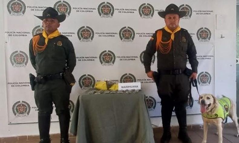 perro mariahuana