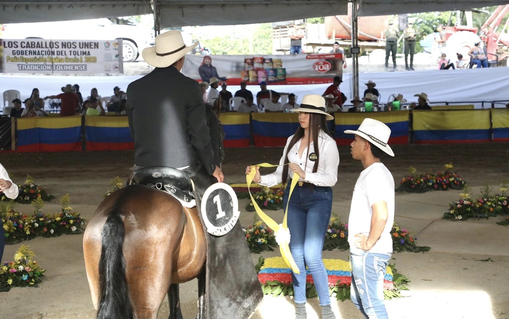 Feria equina San Lu