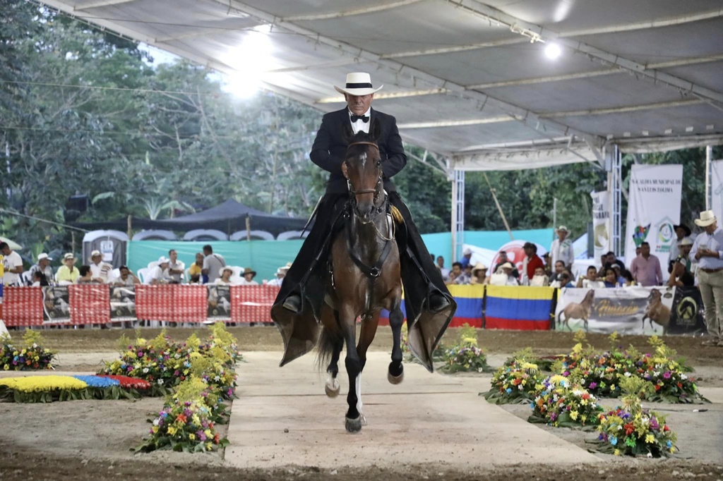 hermoso