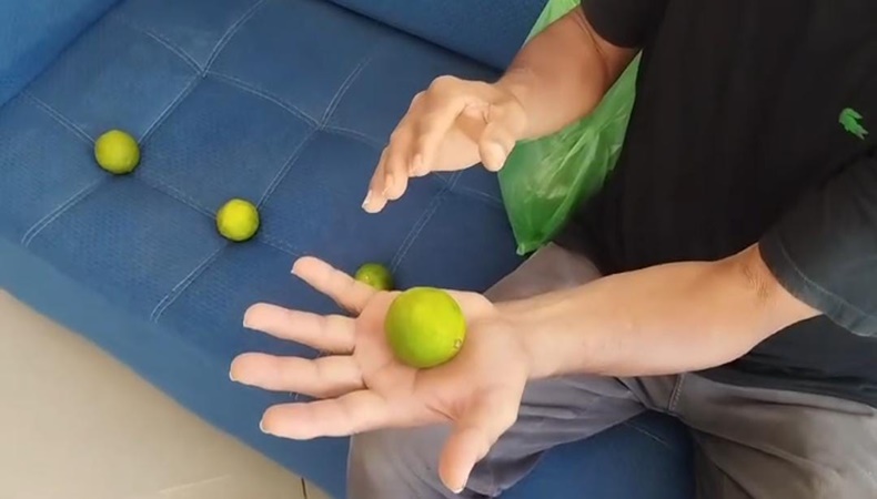 las frutas que les dan