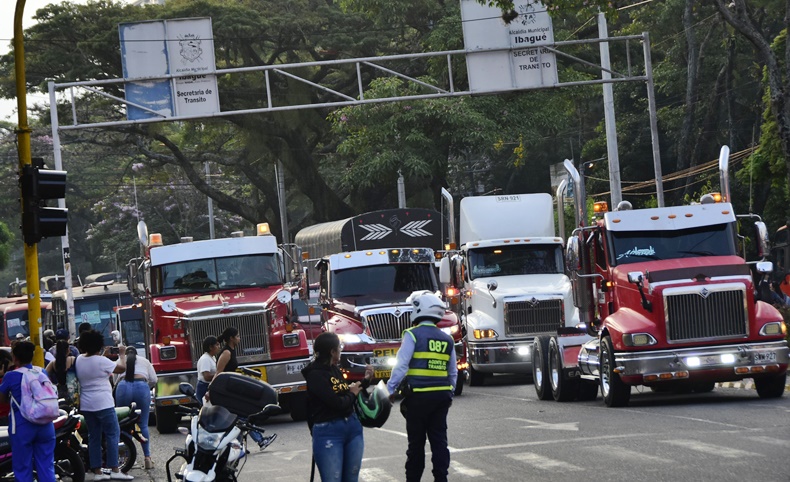 plan torruga ibague
