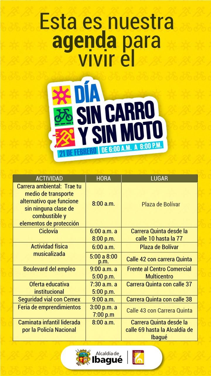 Actividades Día