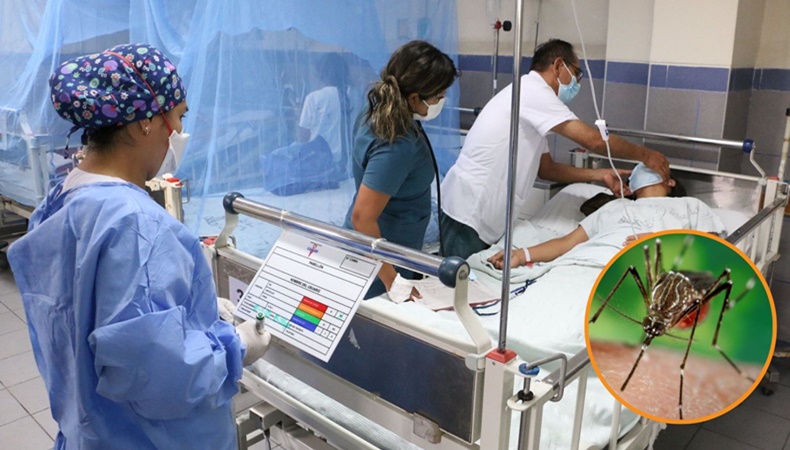 Muertos por Dengue