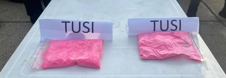 tusi