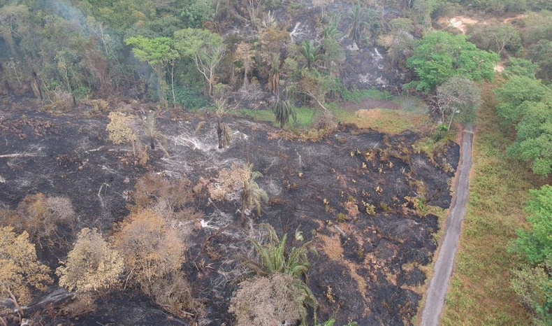 Incendios forestales