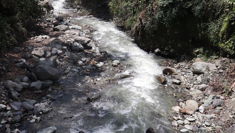 Los rios