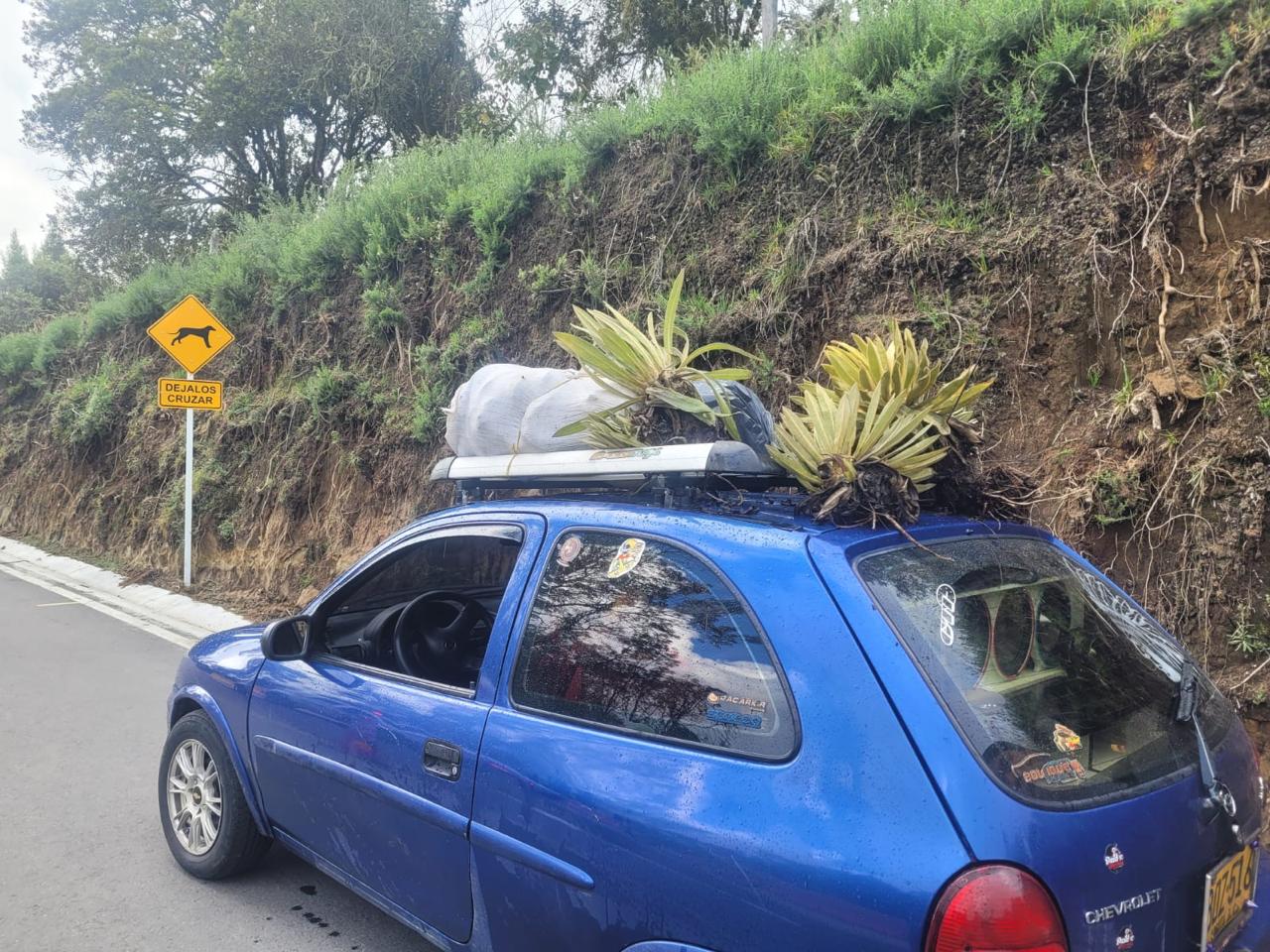 se los lelvó