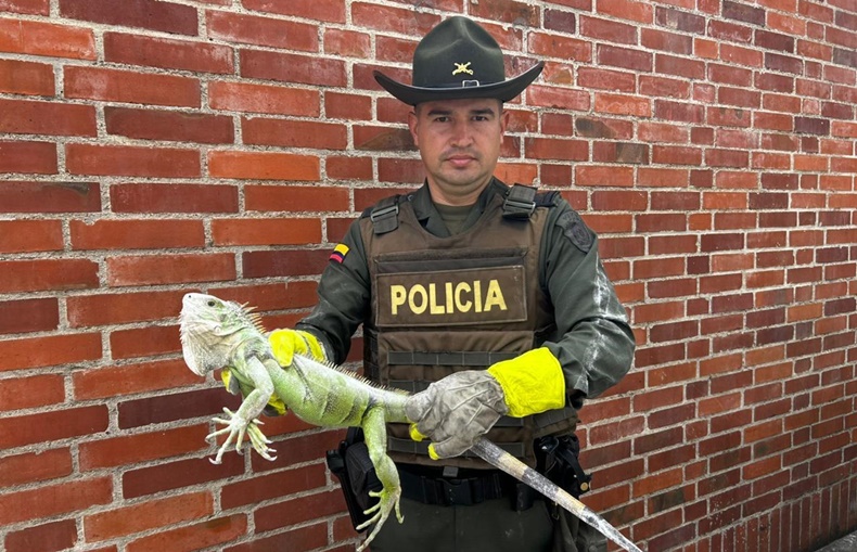 policia ambiental