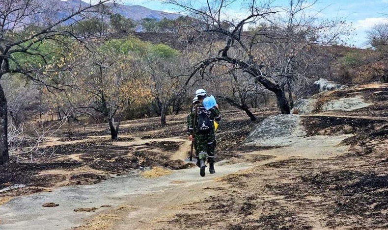 DEFECTos clima
