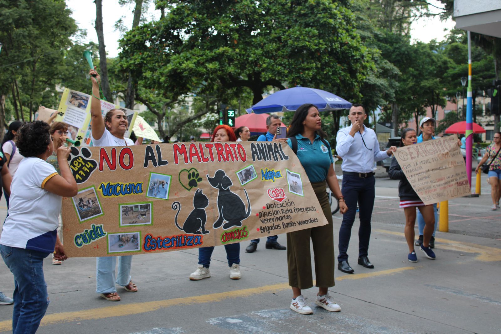 planton animalista
