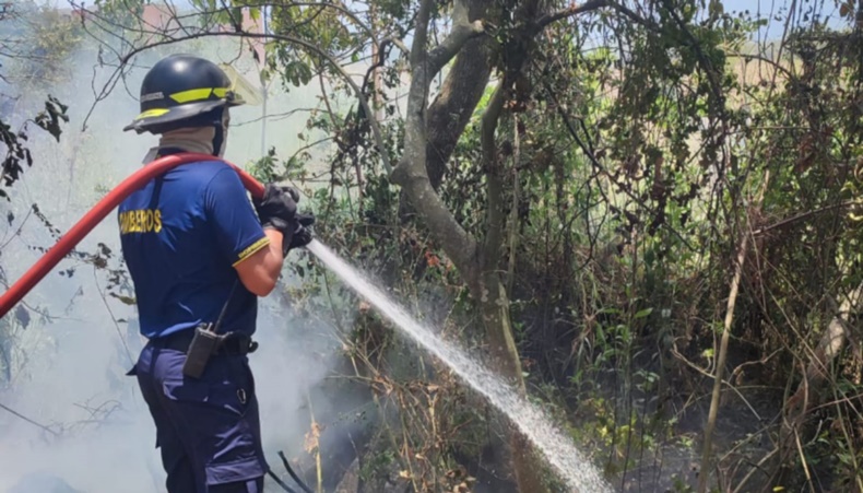 bomberos ayudan