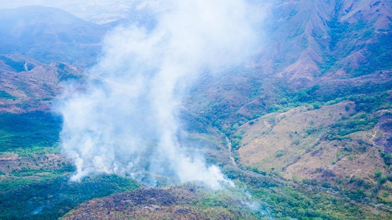 incendio arrasado